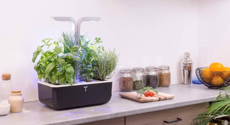 Potager hydroponique connecté en cuisine avec éclairage LED