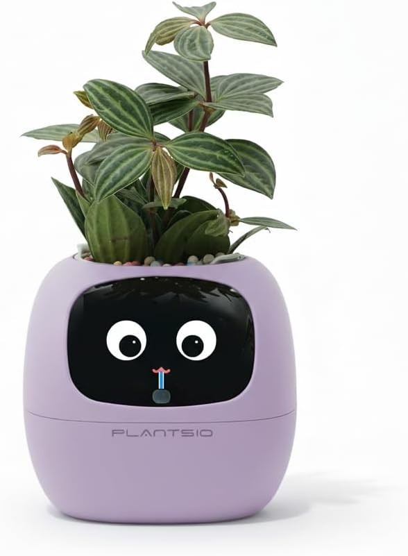 Potager Connecté Cultive Solo