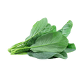 Brocoli