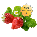 Fraises