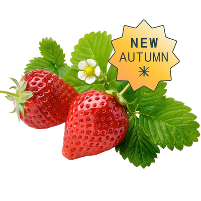 Fraises