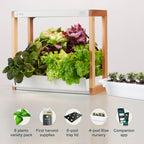 Cultive Classic  Potager Hydroponique Connecté 6 Capsules