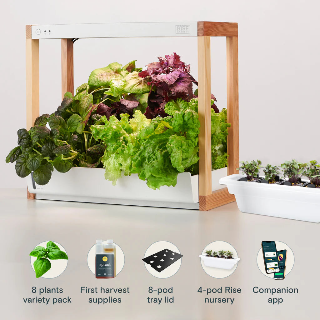 Cultive Classic  Potager Hydroponique Connecté 6 Capsules