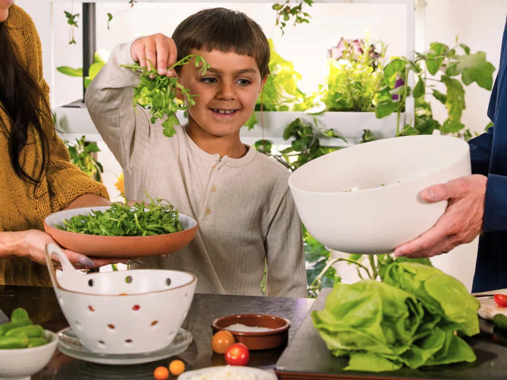 Cultive Plus  Potager Hydroponique Connecté 9 Capsules