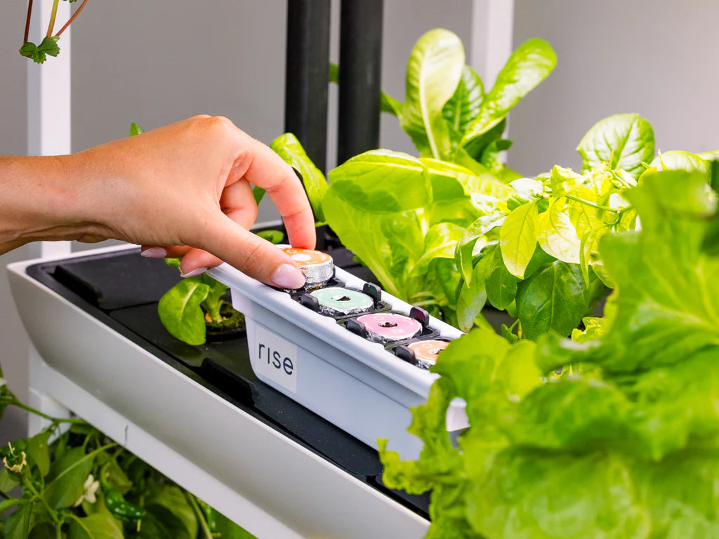 Cultive Pro  Potager Hydroponique Connecté 12 Capsules