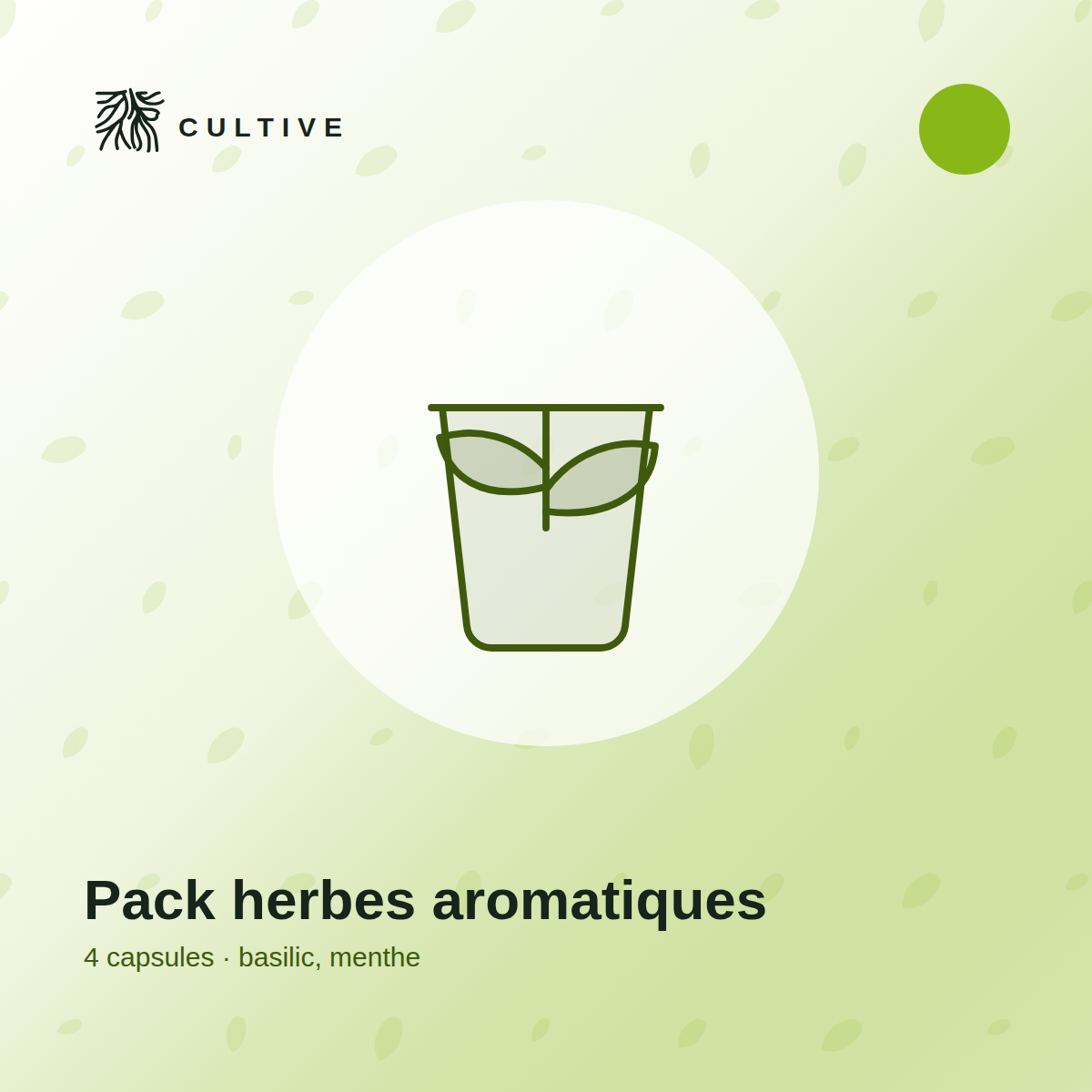 Pack Herbes Aromatiques  4 Capsules