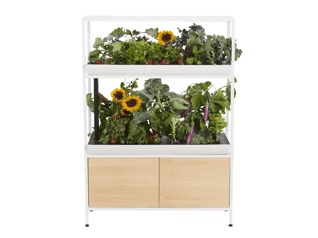 Cultive Pro  Potager Hydroponique Connecté 12 Capsules